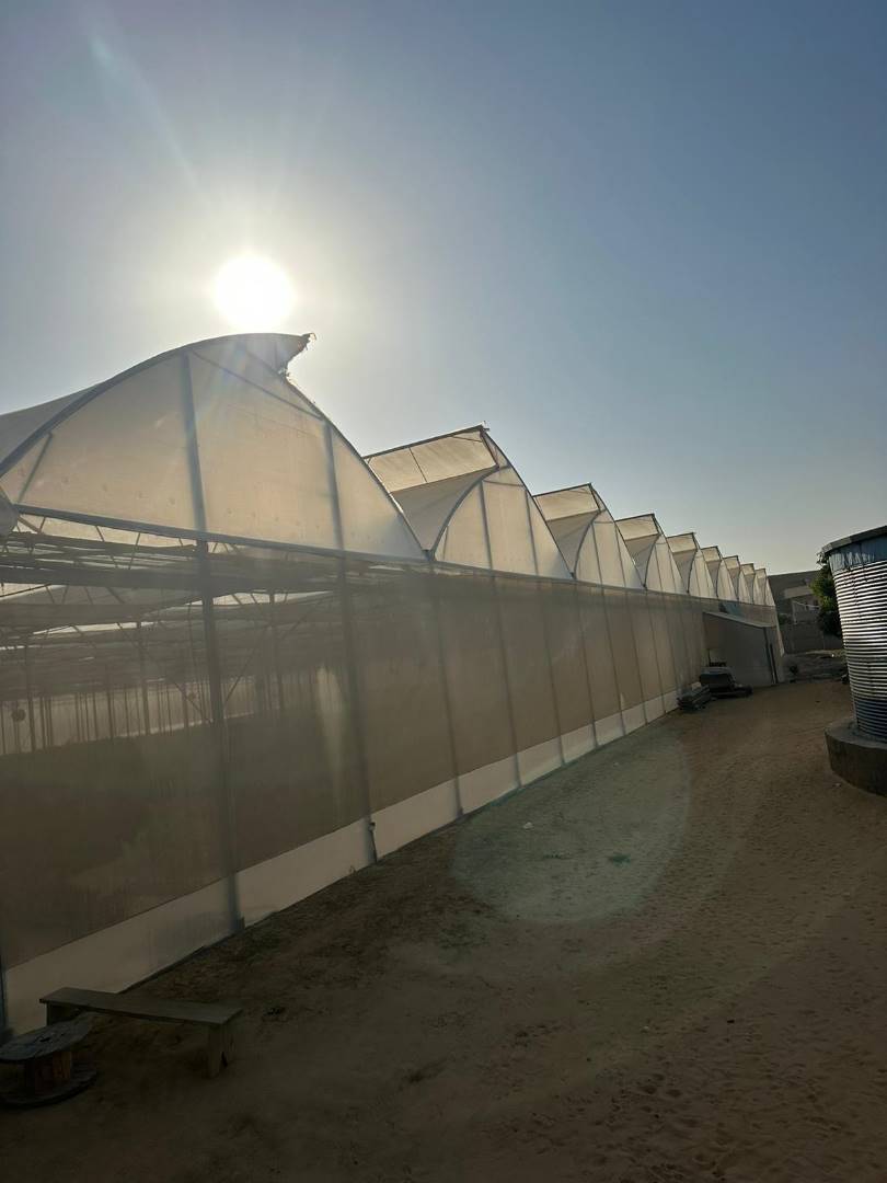 WhatsApp-Image-2023-05-18-at-13.07.01